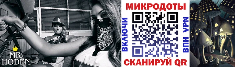 как найти   площадка официальный сайт  MEGA зеркало  Галлюциногенные грибы прущие грибы  Муром 